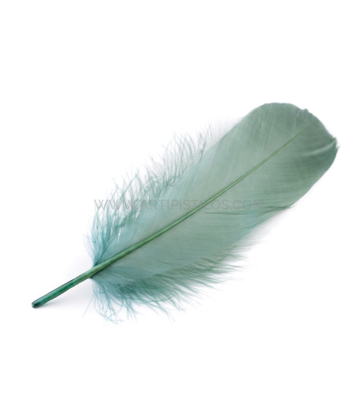 PLUME DE CANARD 15 CMS.