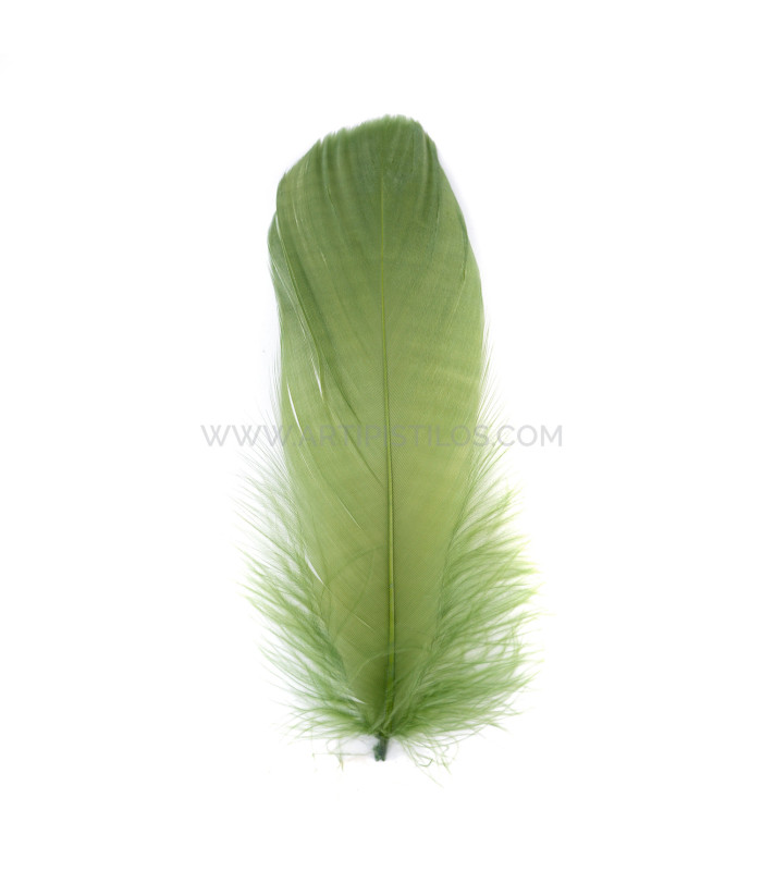 PLUME DE CANARD 15 CMS.