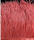 FRANGE PLUMES D´AUTRUCHE - 10 CMS.