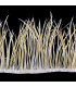 RUBAN D´OIE BIOT PREMIÉRE QUALITÉ -  10 CMS.