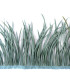 RUBAN D´OIE BIOT PREMIÉRE QUALITÉ -  10 CMS.