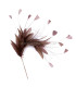 MONTAGE DE PLUMES COQ/AUTRUCHE/OIE