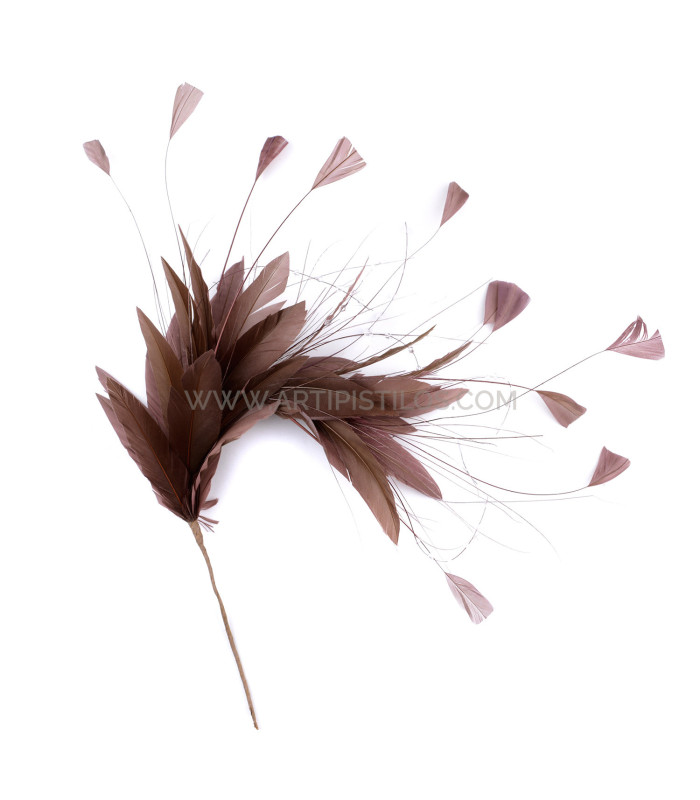 MONTAGE DE PLUMES COQ/AUTRUCHE/OIE