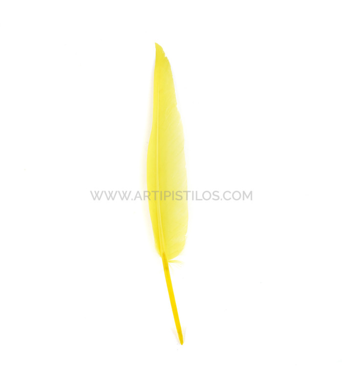 PLUME D´OIE 25 CMS.