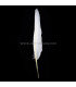 PLUME D´OIE 25 CMS.
