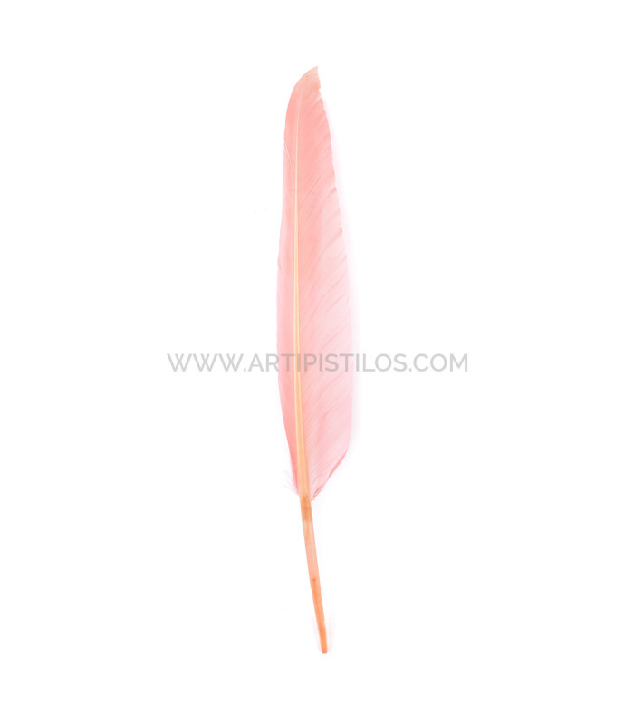 PLUME D´OIE 25 CMS.