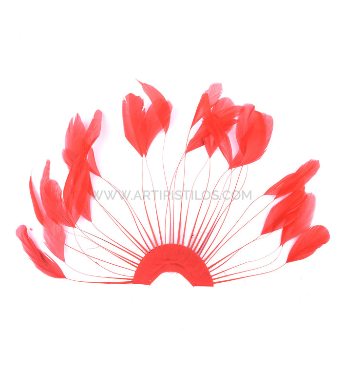 plumes de coq 1ère qualité.