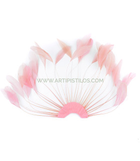 plumes de coq 1ère qualité.