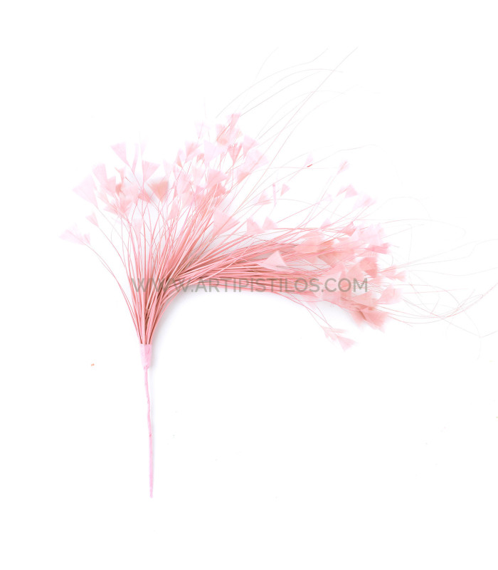 ASSEMBLAGE DE PLUMES 30 X 15 cm