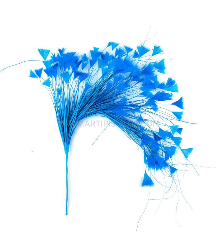 ASSEMBLAGE DE PLUMES 30 X 15 cm
