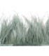 RUBAN D´AUTRUCHE 2 COUCHES 10 CMS. PREMIÈRE QUALITÉ
