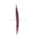 PLUME DE FAISAIN LADY AMHERST 40-45 CMS.