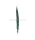 PLUME DE FAISAIN LADY AMHERST 40-45 CMS.