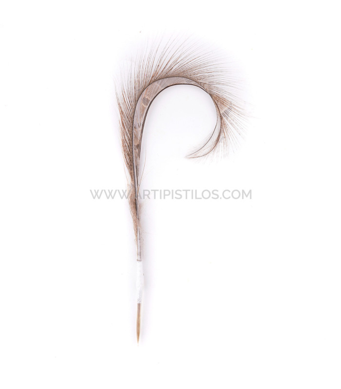 LOT DE 2 PLUMES DE FAISAN BRÛLÉ