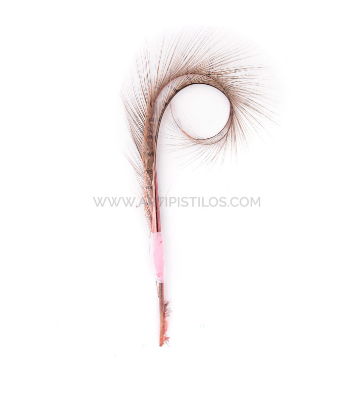LOT DE 2 PLUMES DE FAISAN BRÛLÉ