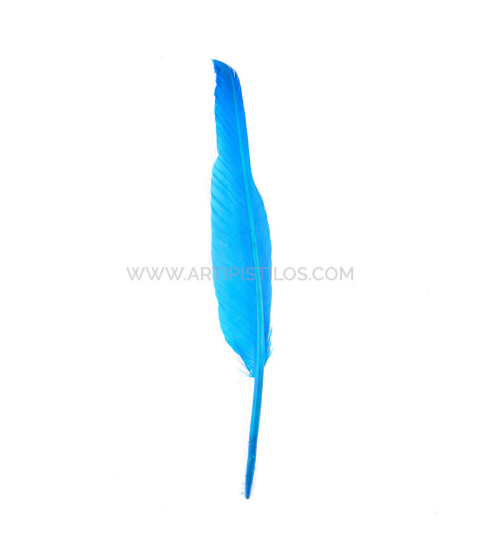 PLUME D´OIE 25 CMS.