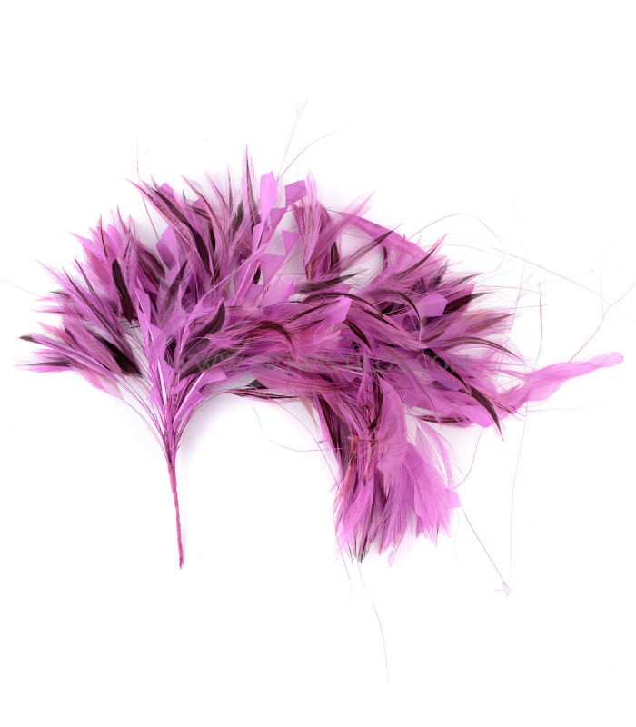 MONTAGE DE PLUMES