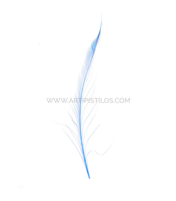 PLUME PAON ÉPÉE 30 CMS.