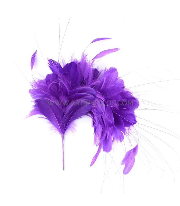 MONTAGE DE PLUMES 35 x 12 cm