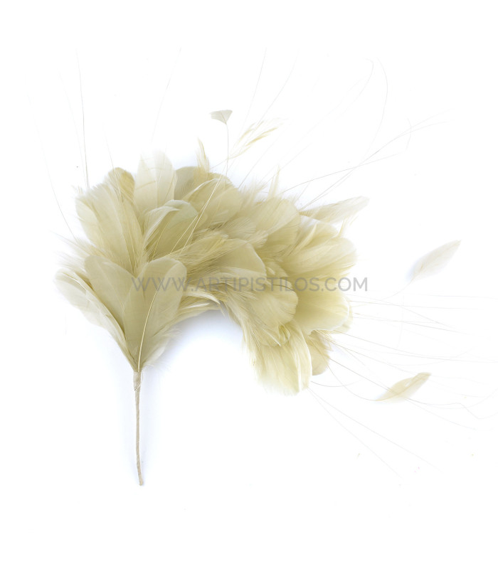 MONTAGE DE PLUMES 35 x 12 cm