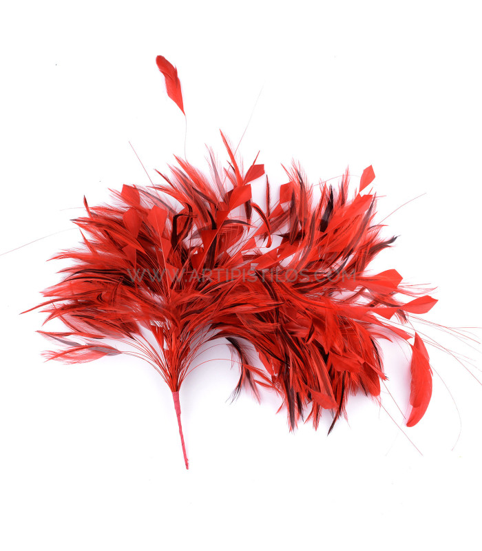 MONTAGE DE PLUMES