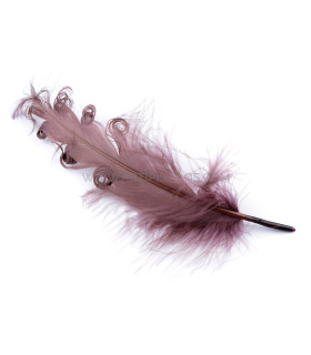 PLUME FRISÉE DE CANARD 15 CMS.