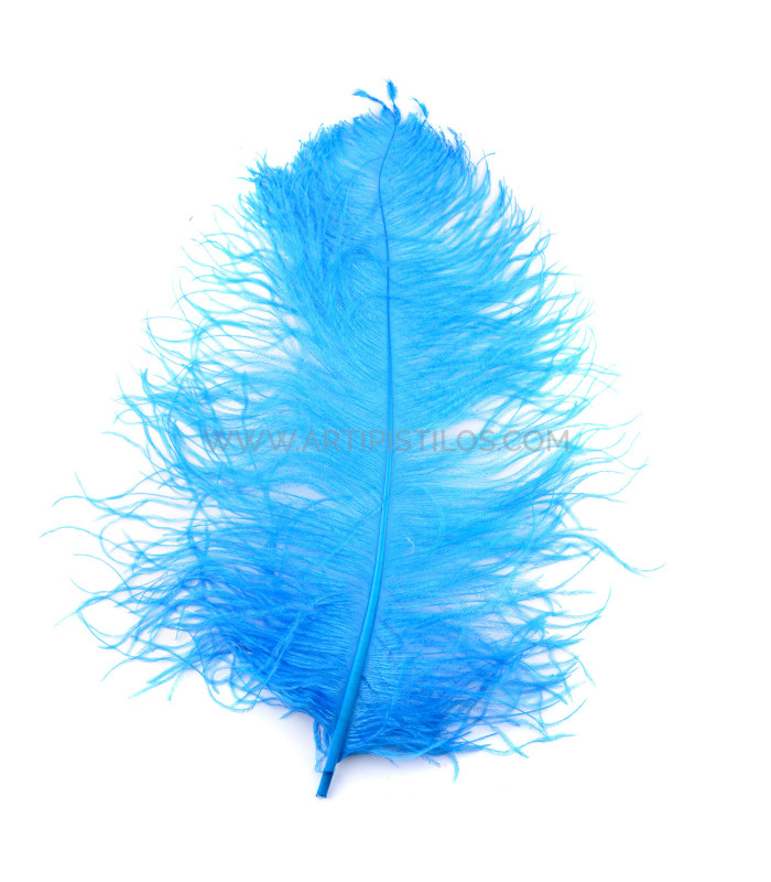 PLUME D´AUTRUCHE PREMIÈRE QUALITÉ 50-55 CMS.