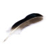PLUME DE CANARD 10 - 14 CM