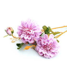 DAHLIA BOUQUET 2 FLEURS "GENOVA