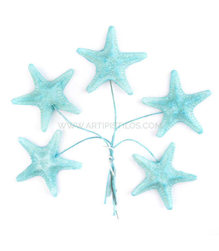 FLEUR DE PORCELAINE FROIDE ÉTOILE DE MER 3,5 CM