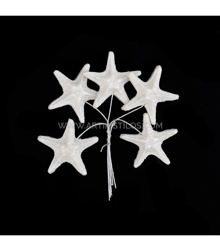 FLEUR DE PORCELAINE FROIDE ÉTOILE DE MER 3,5 CM