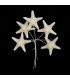 FLEUR DE PORCELAINE FROIDE ÉTOILE DE MER 3,5 CM