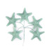 FLEUR DE PORCELAINE FROIDE ÉTOILE DE MER 3,5 CM