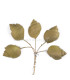 FLEUR EN PORCELAINE FROIDE ESCARGOT LISSE 2 X 1,5CM