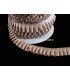 TAFFETAS FRONCÉ 16 MM.