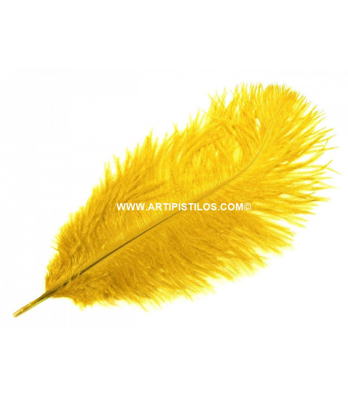 Plume d'autruche d'une longueur approximative de 20-25 cm