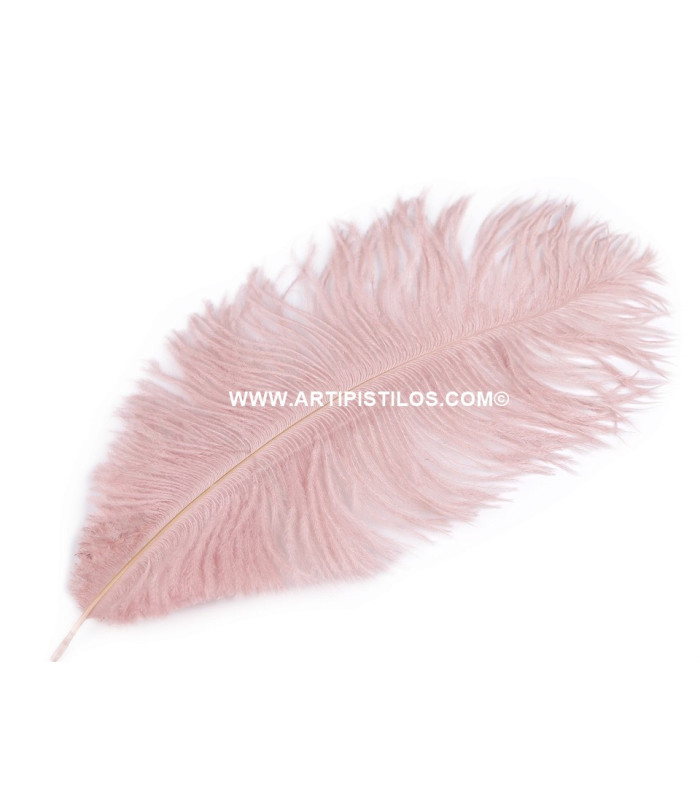 Plume d'autruche d'une longueur approximative de 20-25 cm