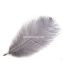 Plume d'autruche d'une longueur approximative de 20-25 cm