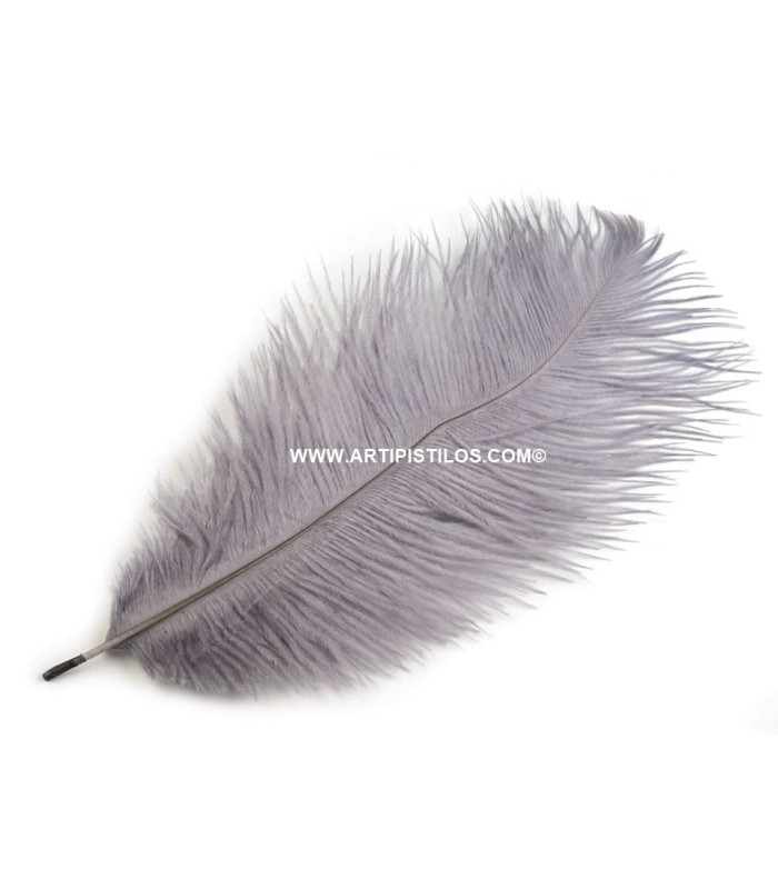 Plume d'autruche d'une longueur approximative de 20-25 cm