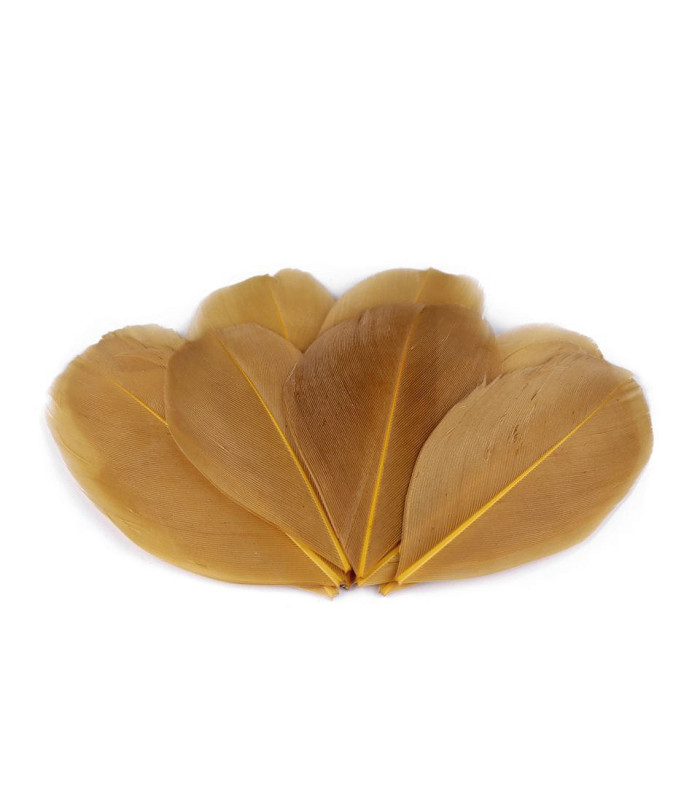 Plumes d'oie 5,5 - 7 cm x 10 pcs
