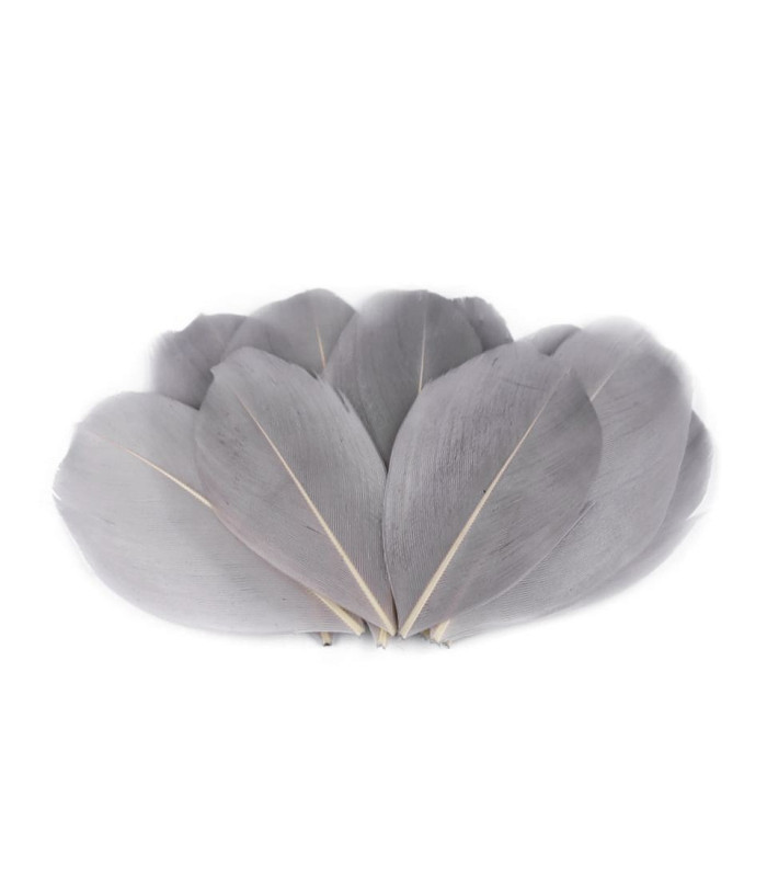Plumes d'oie 5,5 - 7 cm x 10 pcs