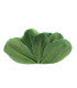 Plumes d'oie 5,5 - 7 cm x 10 pcs
