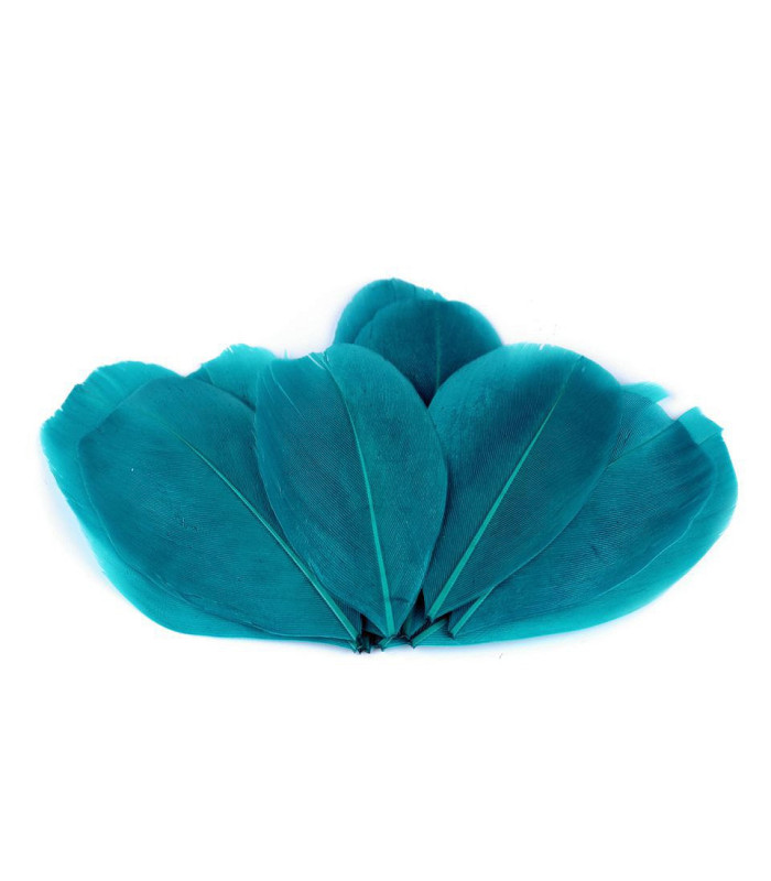 Plumes d'oie 5,5 - 7 cm x 10 pcs
