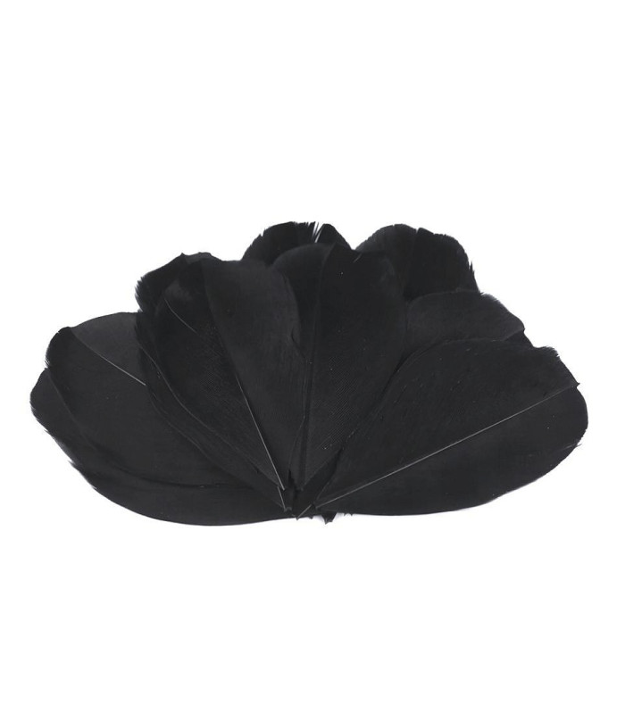 Plumes d'oie 5,5 - 7 cm x 10 pcs