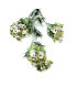 TIGE DES FLEURS "CELA"