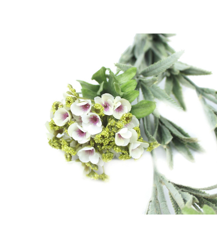 TIGE DES FLEURS "CELA"