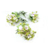 TIGE DES FLEURS "CELA"