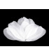 Plumes d'oie 5,5 - 7 cm x 10 pcs