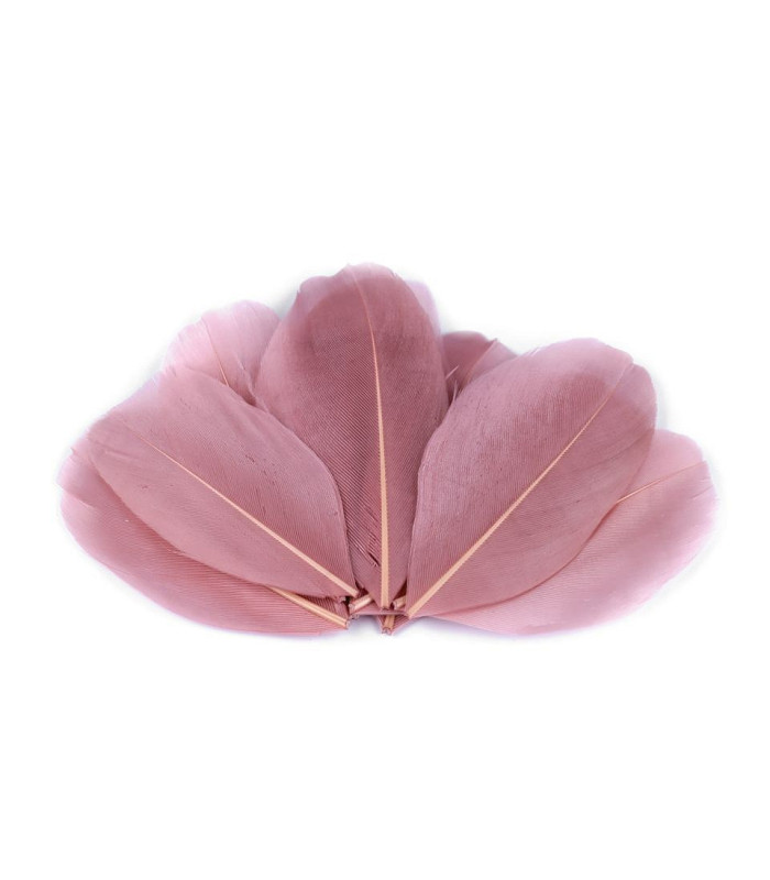Plumes d'oie 5,5 - 7 cm x 10 pcs