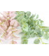 Branche d'eucalyptus "GREEN BOX"